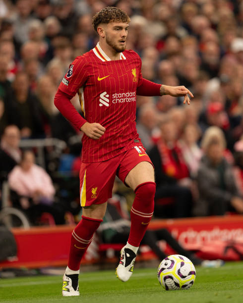 证明了他不 证明了他不